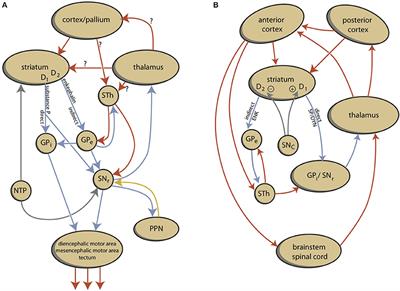 Circuits Regulating Pleasure and Happiness in Bipolar Disorder